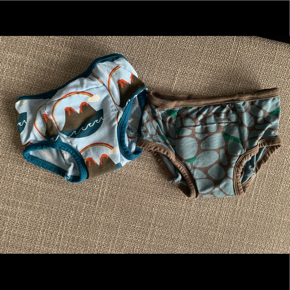 Kickee Pants Training underwear NWOT size 2-3T